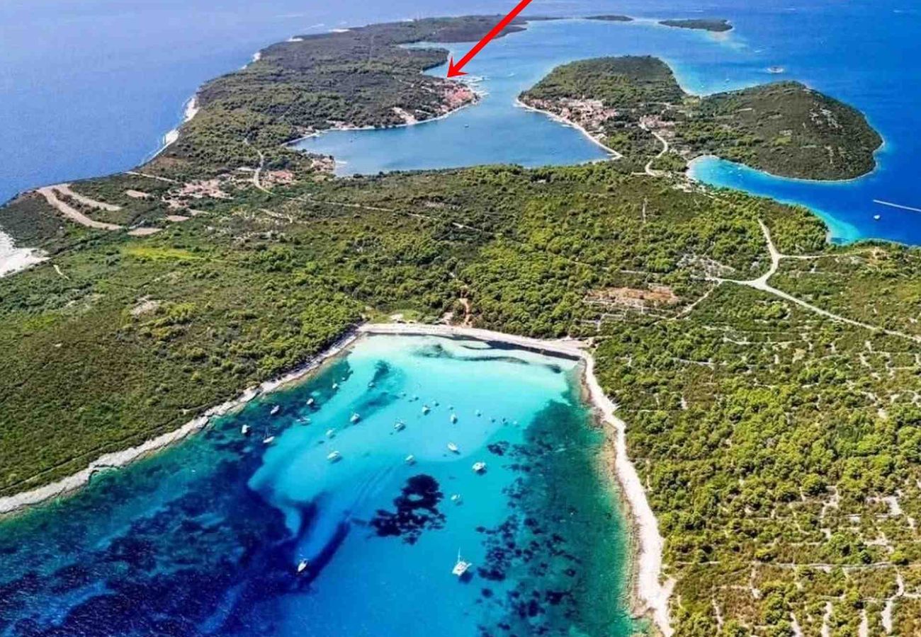 Dom w Veli Rat - Domek wypoczynkowy w Veli Rat z Widok na morze, taras, Klimatyzacja, WIFI (3559-1)