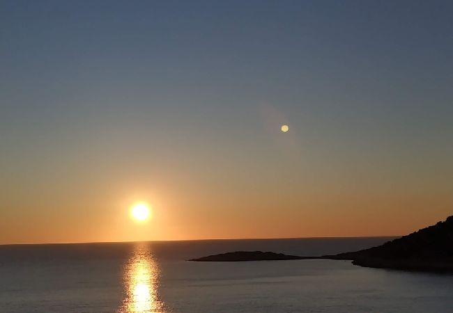 Apartament w Ražanj - Apartament w Ražanj z taras, Klimatyzacja, WIFI, Pralka (3567-1) Apartament w Ražanj - Apartament w Ražanj z taras, Klimatyzacja, WIFI, Pralka (3567-1)