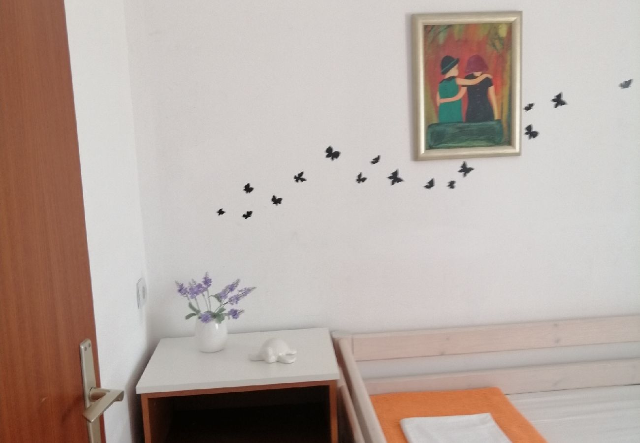 Apartament w Privlaka - Apartament w Privlaka z Widok na morze, taras, Klimatyzacja, WIFI (3591-1)