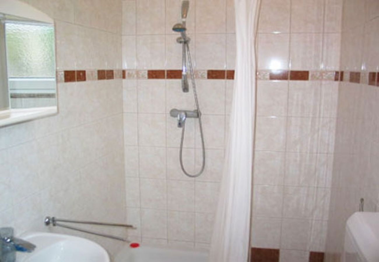 Apartament w Privlaka - Apartament w Privlaka z taras, Klimatyzacja, WIFI, Pralka (821-2)