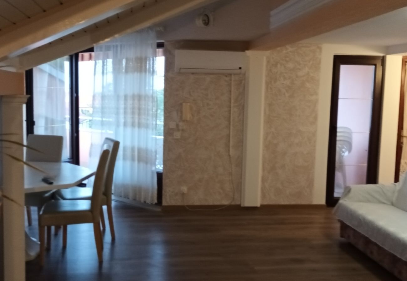 Apartament w Privlaka - Apartament w Privlaka z taras, Klimatyzacja, WIFI, Pralka (821-3)