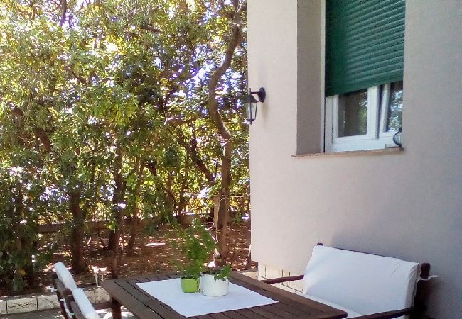 Apartament w Poljana - Apartament w Poljana z Widok na morze, taras, Klimatyzacja, WIFI (3617-1) Apartament w Poljana - Apartament w Poljana z Widok na morze, taras, Klimatyzacja, WIFI (3617-1)
