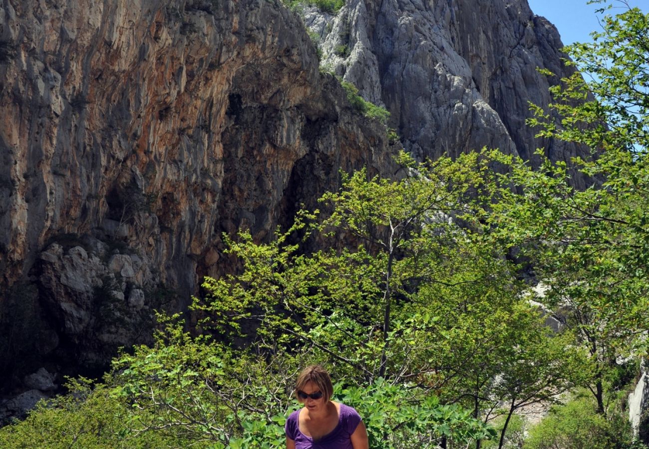 Pokój w Starigrad - Pokój w Starigrad-Paklenica z taras, Klimatyzacja, WIFI (627-6)