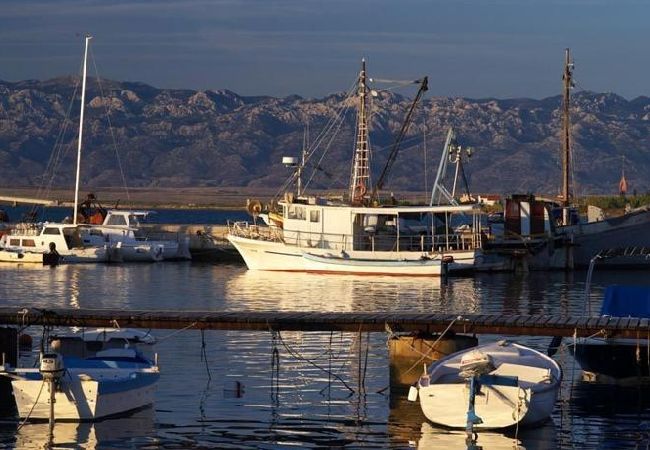 Apartament w Privlaka - Apartament w Privlaka z Widok na morze, balkon, Klimatyzacja, WIFI (667-1) Apartament w Privlaka - Apartament w Privlaka z Widok na morze, balkon, Klimatyzacja, WIFI (667-1)