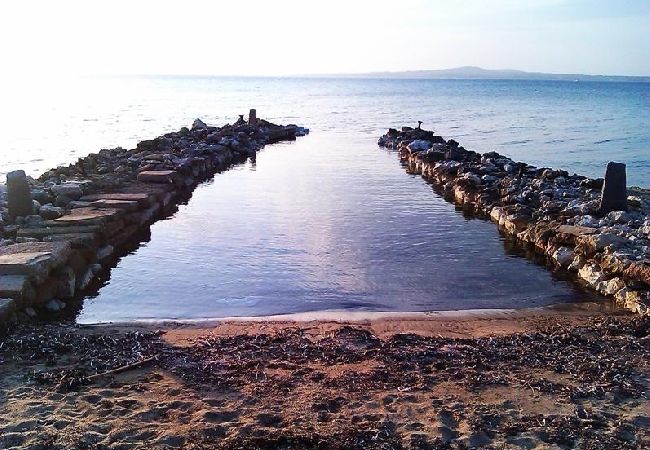 Apartament w Privlaka - Apartament w Privlaka z Widok na morze, balkon, Klimatyzacja, WIFI (667-3) Apartament w Privlaka - Apartament w Privlaka z Widok na morze, balkon, Klimatyzacja, WIFI (667-3)