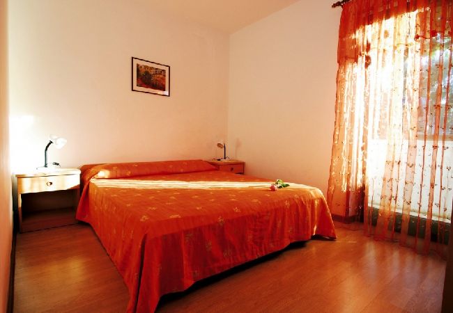 Apartament w Novigrad - Apartament w Novigrad z taras, Klimatyzacja, WIFI, Pralka (3663-1) Apartament w Novigrad - Apartament w Novigrad z taras, Klimatyzacja, WIFI, Pralka (3663-1)