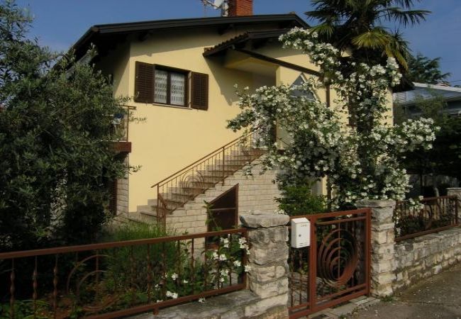 Apartament w Novigrad - Apartament w Novigrad z taras, Klimatyzacja, WIFI, Pralka (3663-1) Apartament w Novigrad - Apartament w Novigrad z taras, Klimatyzacja, WIFI, Pralka (3663-1)