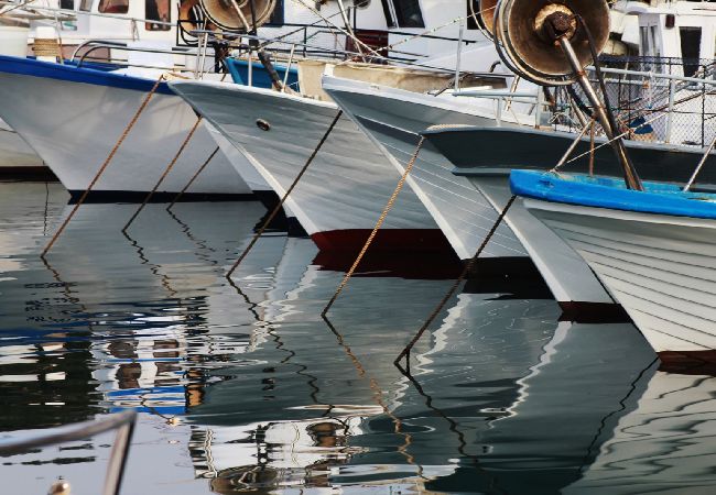 Apartament w Novigrad - Apartament w Novigrad z taras, Klimatyzacja, WIFI, Pralka (3663-1) Apartament w Novigrad - Apartament w Novigrad z taras, Klimatyzacja, WIFI, Pralka (3663-1)