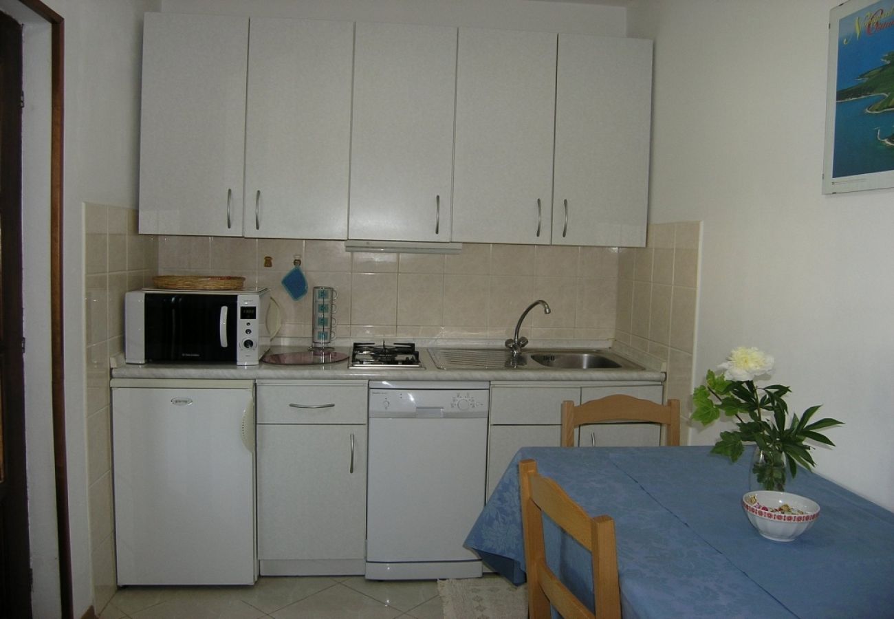 Apartament w Novigrad - Apartament w Novigrad z taras, Klimatyzacja, WIFI, Pralka (3663-1)