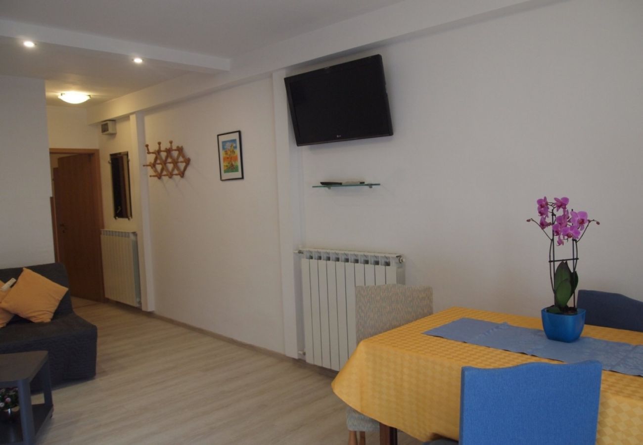 Apartament w Novigrad - Apartament w Novigrad z taras, Klimatyzacja, WIFI, Pralka (3663-1)