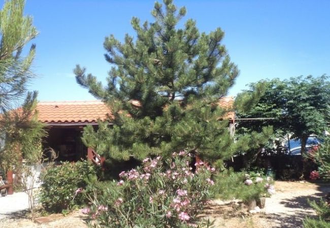 Apartament w Rab - Apartament w Barbat z Widok na morze, balkon, Klimatyzacja, WIFI (3664-2) Apartament w Rab - Apartament w Barbat z Widok na morze, balkon, Klimatyzacja, WIFI (3664-2)