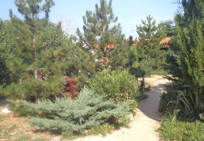 Apartament w Rab - Apartament w Barbat z Widok na morze, balkon, Klimatyzacja, WIFI (3664-2) Apartament w Rab - Apartament w Barbat z Widok na morze, balkon, Klimatyzacja, WIFI (3664-2)