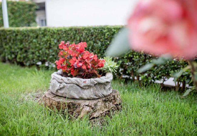 Apartament w Palit - Apartament w Palit z taras, Klimatyzacja, WIFI, Zmywarka (820-3) Apartament w Palit - Apartament w Palit z taras, Klimatyzacja, WIFI, Zmywarka (820-3)