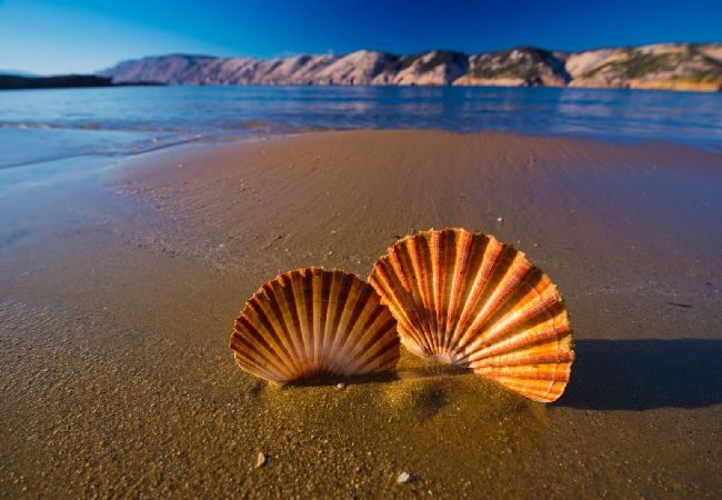 Apartament w Palit - Apartament w Palit z Widok na morze, taras, Klimatyzacja, WIFI (820-4) Apartament w Palit - Apartament w Palit z Widok na morze, taras, Klimatyzacja, WIFI (820-4)