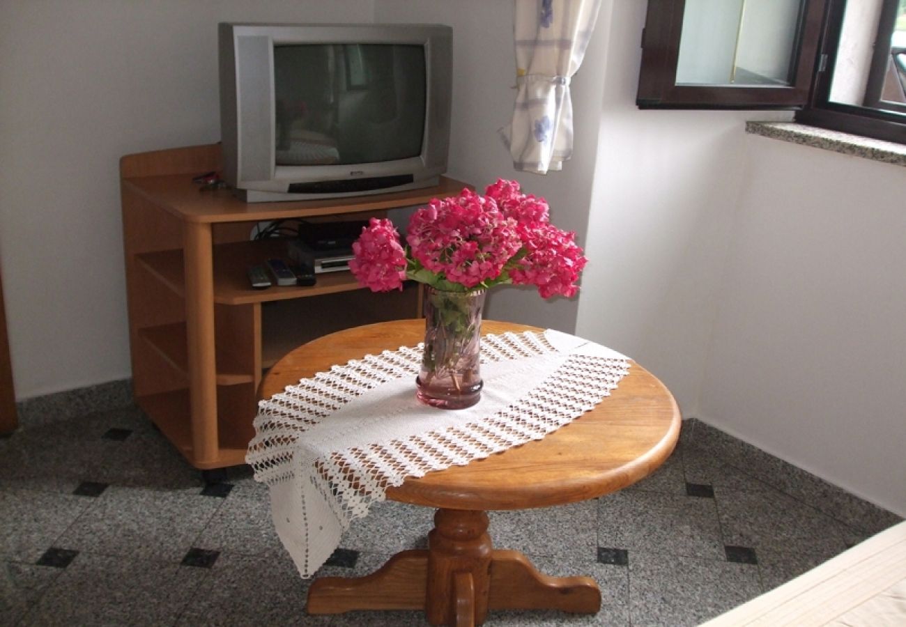 Apartament w Ika - Apartament w Ika z Widok na morze, taras, Klimatyzacja, WIFI (3699-1)