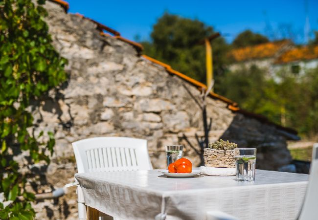 Studio w Žrnovo - Apartament Studio w Žrnovo z taras, Klimatyzacja, WIFI (3709-1) Studio w Žrnovo - Apartament Studio w Žrnovo z taras, Klimatyzacja, WIFI (3709-1)