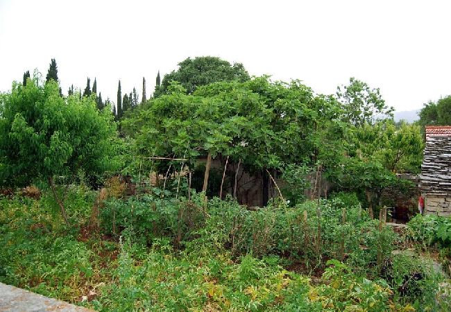 Studio w Žrnovo - Apartament Studio w Žrnovo z taras, Klimatyzacja, WIFI (3709-1) Studio w Žrnovo - Apartament Studio w Žrnovo z taras, Klimatyzacja, WIFI (3709-1)