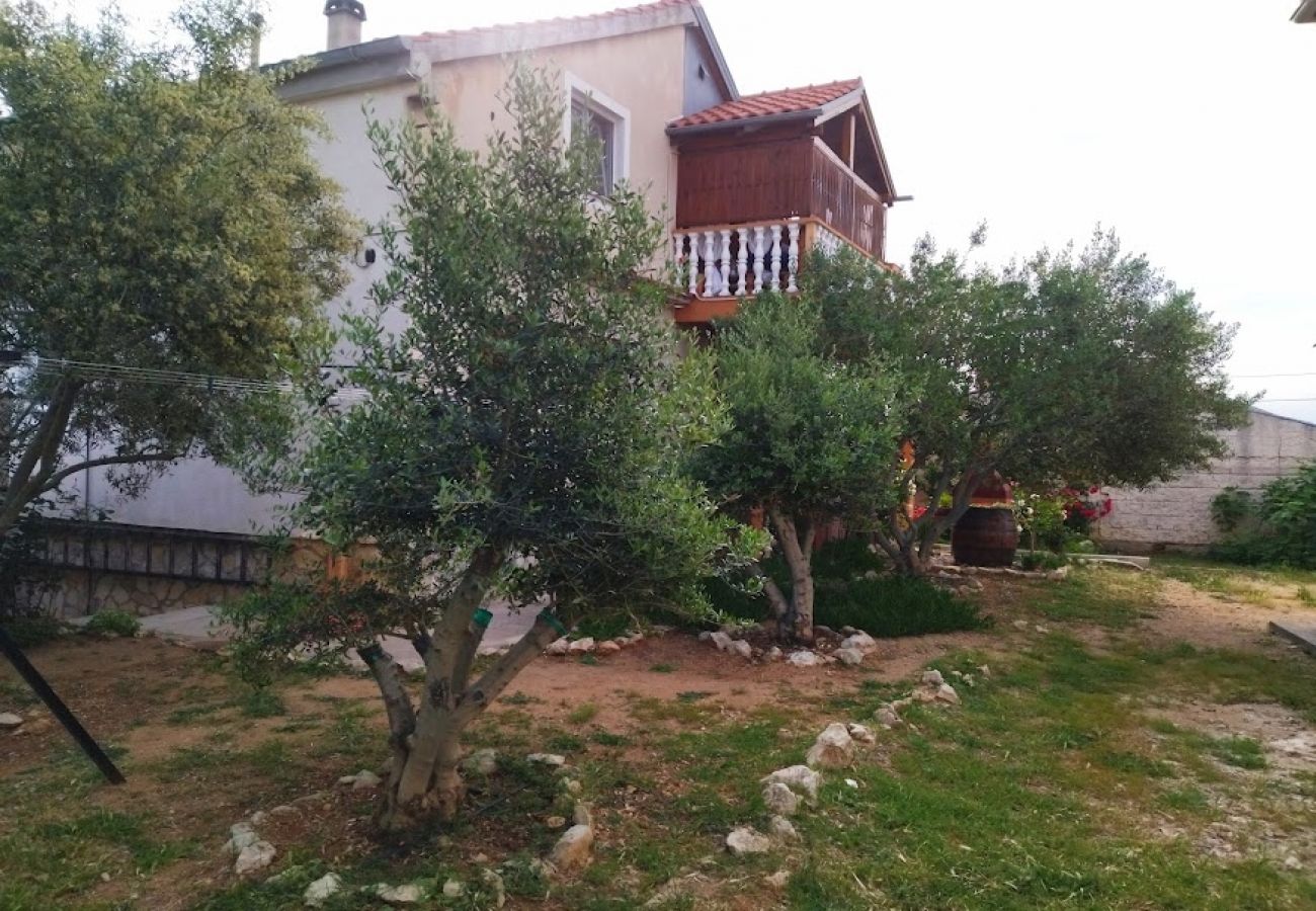 Apartament w Nin - Apartament w Nin z taras, Klimatyzacja, WIFI (3718-1)