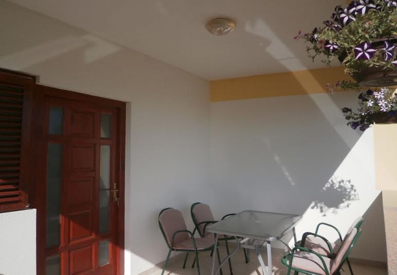 Apartament w Nin - Apartament w Nin z taras, Klimatyzacja, WIFI (3722-1)