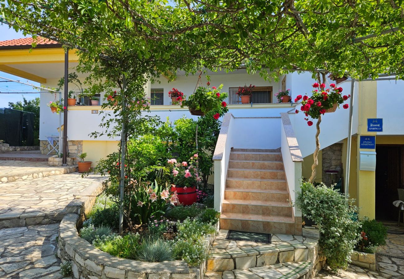 Studio w Nin - Apartament Studio w Nin z taras, Klimatyzacja, WIFI (3722-5)