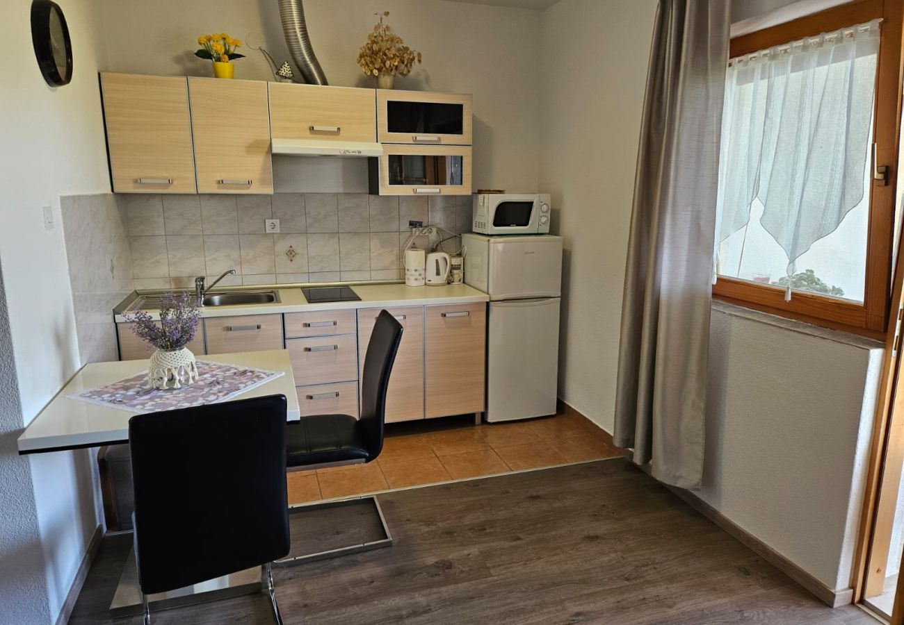Studio w Nin - Apartament Studio w Nin z taras, Klimatyzacja, WIFI (3722-5)