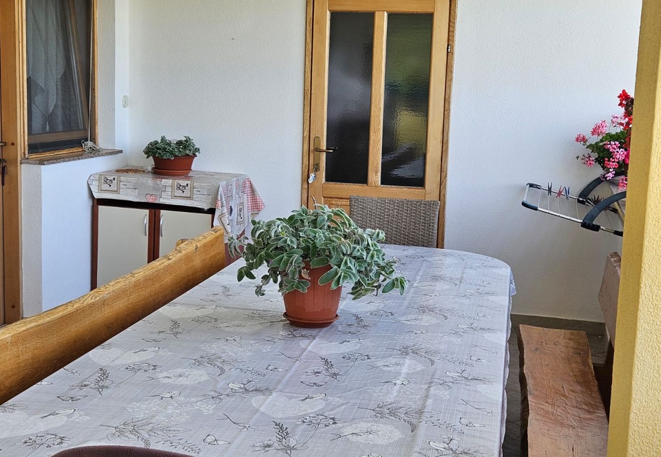 Studio w Nin - Apartament Studio w Nin z taras, Klimatyzacja, WIFI (3722-5)