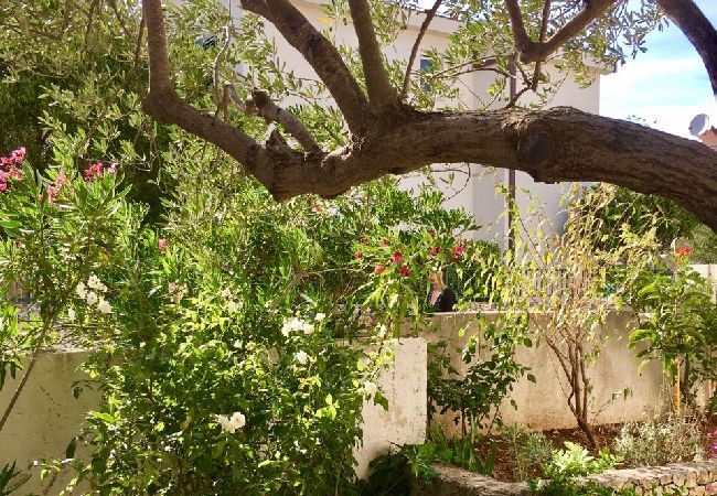 Apartament w Ražanj - Apartament w Ražanj z Widok na morze, taras, Klimatyzacja, WIFI (3743-1) Apartament w Ražanj - Apartament w Ražanj z Widok na morze, taras, Klimatyzacja, WIFI (3743-1)