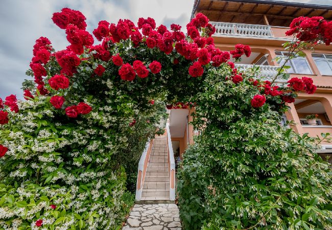 Apartament w Mundanije - Apartament w Mundanije z Widok na morze, taras, Klimatyzacja, WIFI (3748-1) Apartament w Mundanije - Apartament w Mundanije z Widok na morze, taras, Klimatyzacja, WIFI (3748-1)