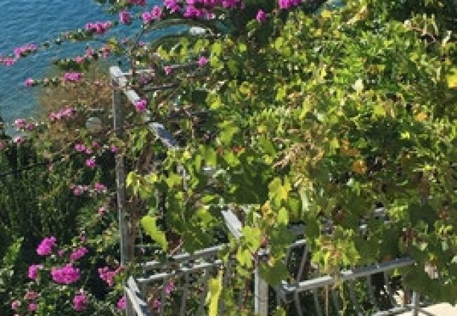 Apartament w Stanici - Apartament w Stanići z Widok na morze, taras, Klimatyzacja, WIFI (3782-5) Apartament w Stanici - Apartament w Stanići z Widok na morze, taras, Klimatyzacja, WIFI (3782-5)