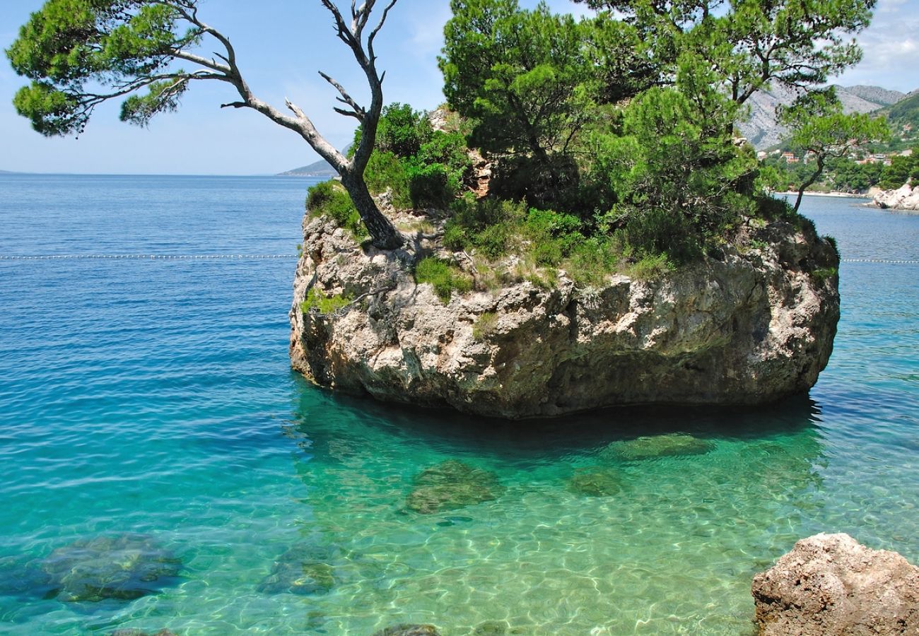 Apartament w Baška Voda - Apartament w Baška Voda z Widok na morze, taras, Klimatyzacja, WIFI (3785-2)