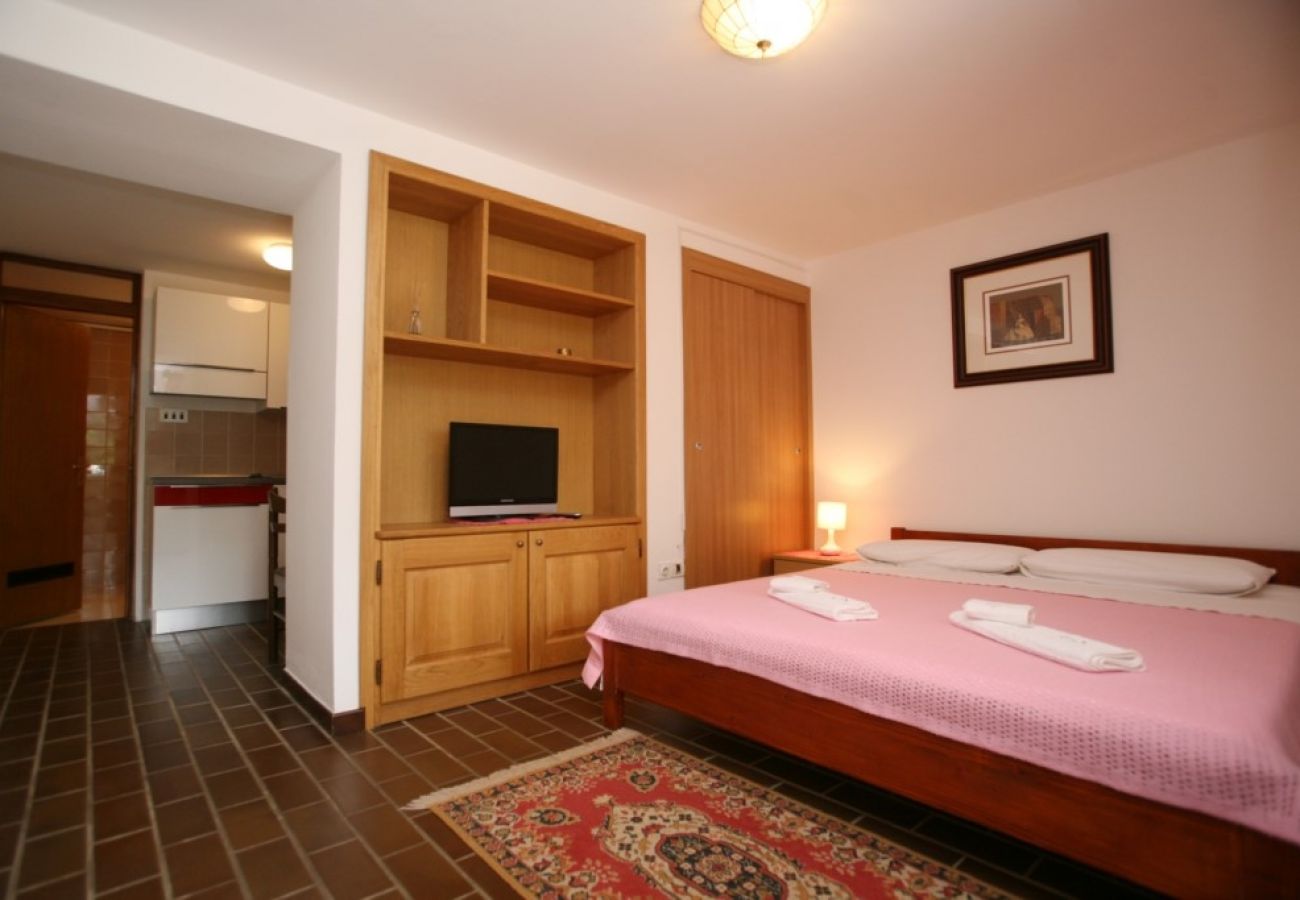 Studio w Porec - Apartament Studio w Poreč z taras, WIFI (3794-1)