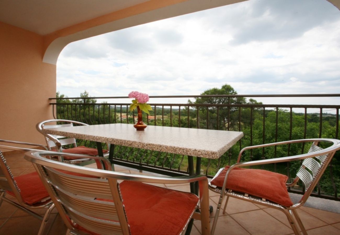 Apartament w Porec - Apartament w Poreč z balkon, Klimatyzacja, WIFI (3794-4)