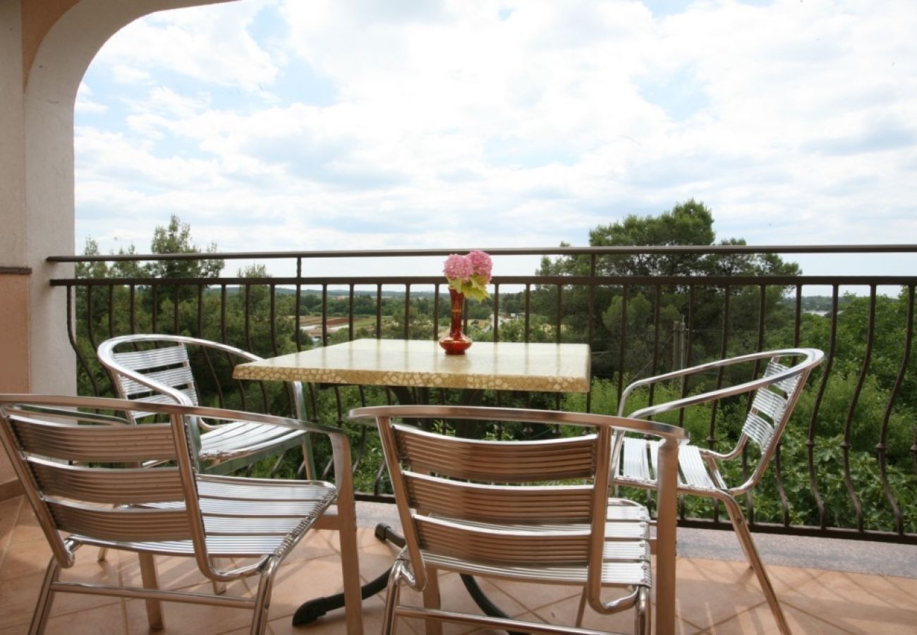 Apartament w Porec - Apartament w Poreč z balkon, Klimatyzacja, WIFI (3794-5)