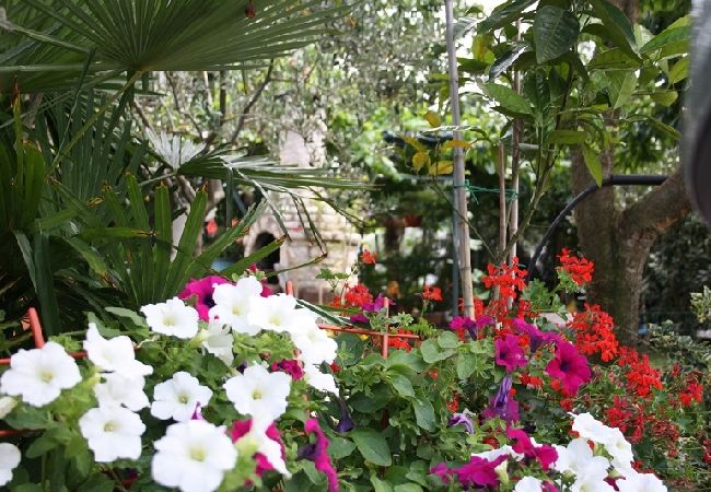 Apartament w Štinjan - Apartament w Štinjan z Widok na morze, Klimatyzacja, WIFI, Pralka (3326-4) Apartament w Štinjan - Apartament w Štinjan z Widok na morze, Klimatyzacja, WIFI, Pralka (3326-4)