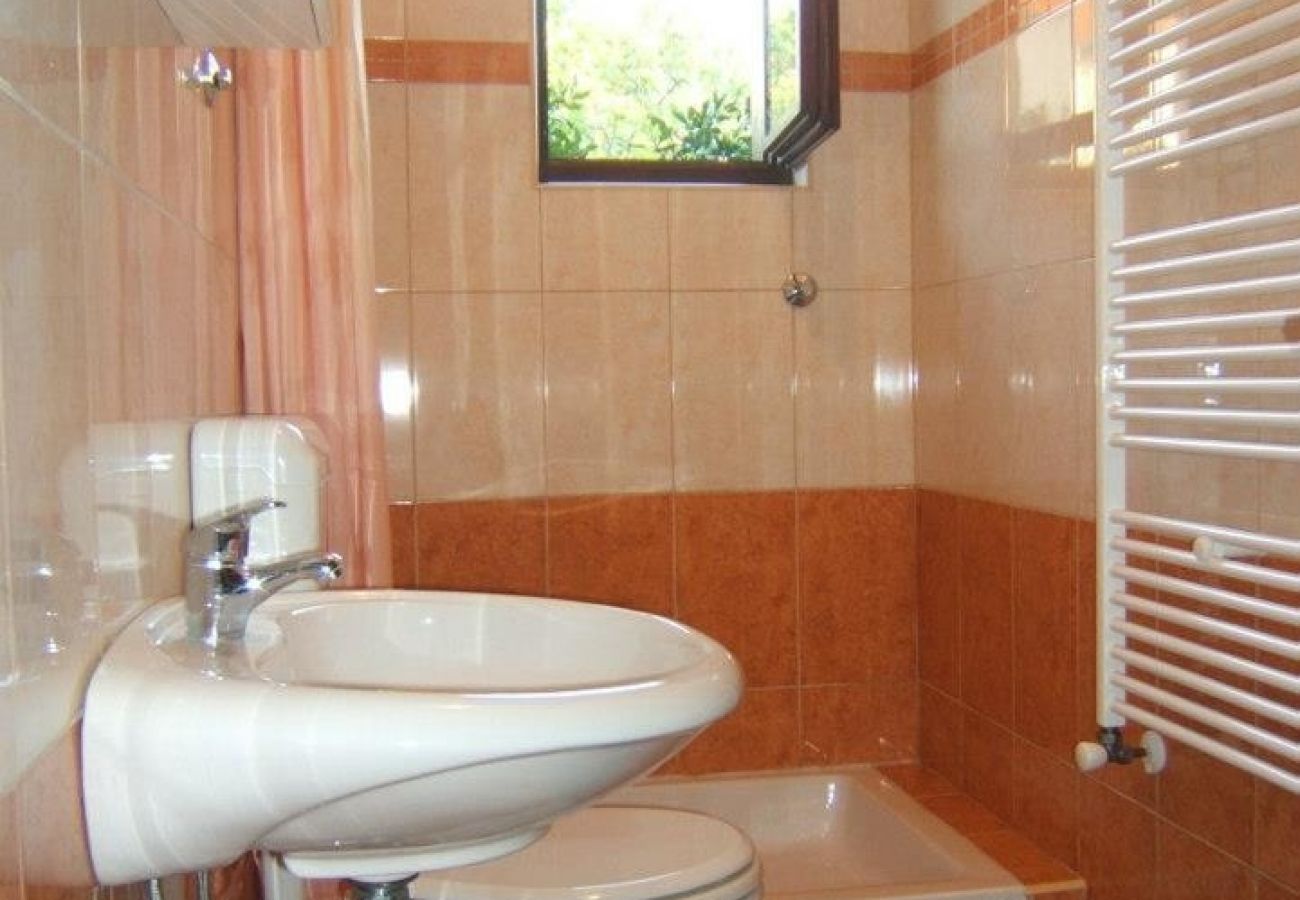 Apartament w Štinjan - Apartament w Štinjan z Widok na morze, Klimatyzacja, WIFI, Pralka (3326-4)