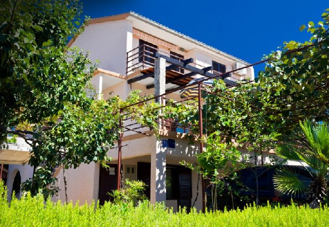 Apartament w Rogoznica - Apartament w Rogoznica z taras, Klimatyzacja, WIFI, Zmywarka (3338-2) Apartament w Rogoznica - Apartament w Rogoznica z taras, Klimatyzacja, WIFI, Zmywarka (3338-2)