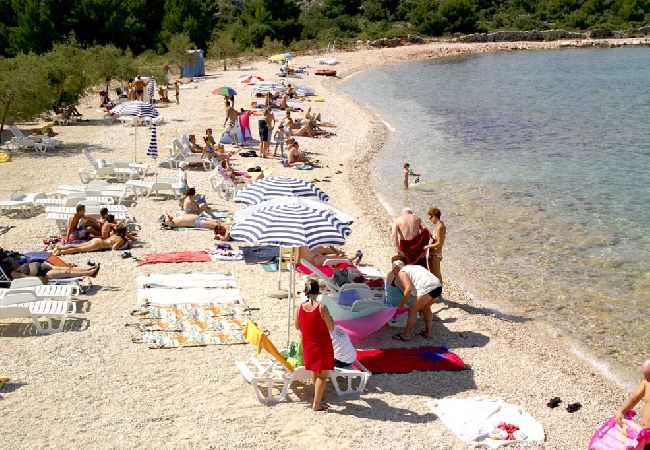 Apartament w Rogoznica - Apartament w Rogoznica z taras, Klimatyzacja, WIFI, Zmywarka (3338-2) Apartament w Rogoznica - Apartament w Rogoznica z taras, Klimatyzacja, WIFI, Zmywarka (3338-2)