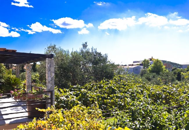 Apartament w Rogoznica - Apartament w Rogoznica z taras, Klimatyzacja, WIFI, Zmywarka (3338-2) Apartament w Rogoznica - Apartament w Rogoznica z taras, Klimatyzacja, WIFI, Zmywarka (3338-2)