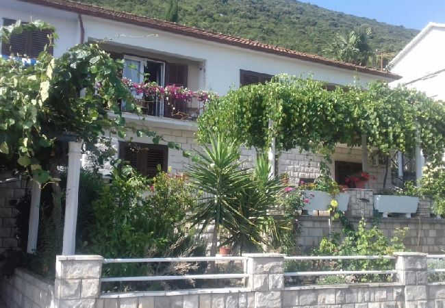 Trpanj - Apartament