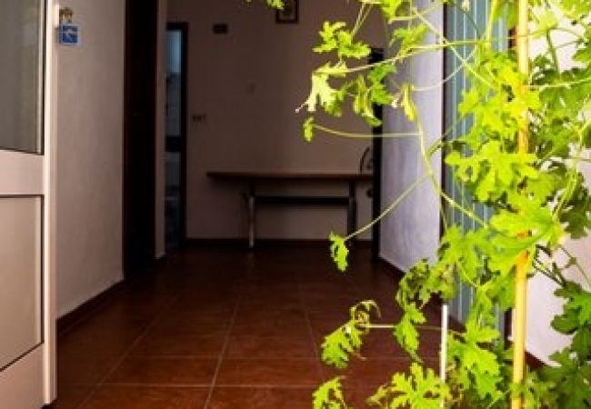 Apartament w Seline - Apartament w Seline z Widok na morze, WIFI, Pralka (4209-1) Apartament w Seline - Apartament w Seline z Widok na morze, WIFI, Pralka (4209-1)