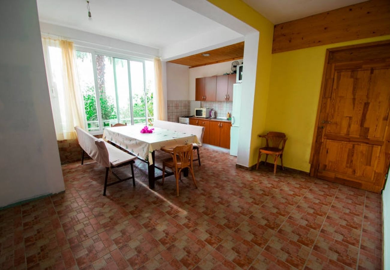 Apartament w Seline - Apartament w Seline z Widok na morze, WIFI, Pralka (4209-1)