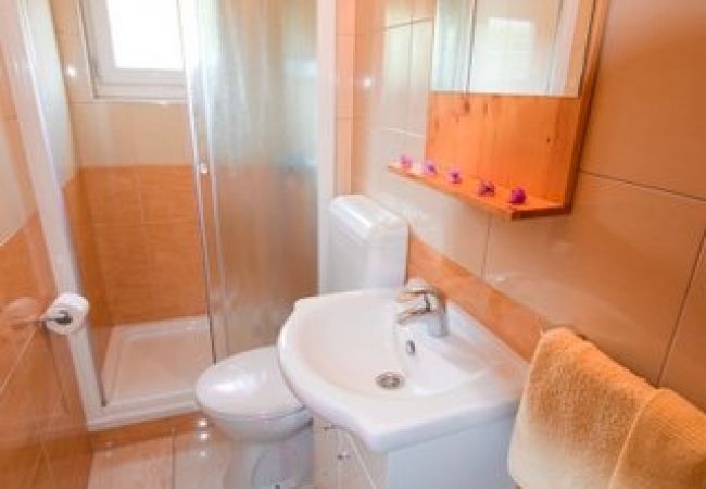 Apartament w Seline - Apartament w Seline z widokiem na morze, tarasem, W-LAN, pralką (4209-2) Apartament w Seline - Apartament w Seline z widokiem na morze, tarasem, W-LAN, pralką (4209-2)