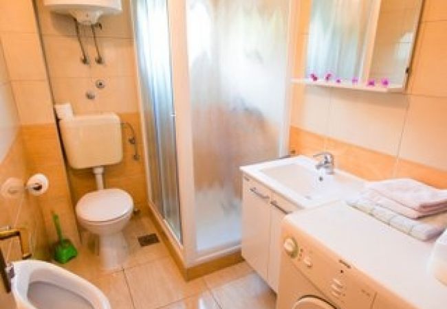 Apartament w Seline - Apartament w Seline z widokiem na morze, tarasem, W-LAN, pralką (4209-2) Apartament w Seline - Apartament w Seline z widokiem na morze, tarasem, W-LAN, pralką (4209-2)