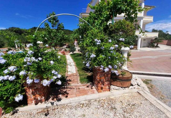 Apartament w Kampor - Apartament w Kampor z taras, WIFI (4235-4) Apartament w Kampor - Apartament w Kampor z taras, WIFI (4235-4)