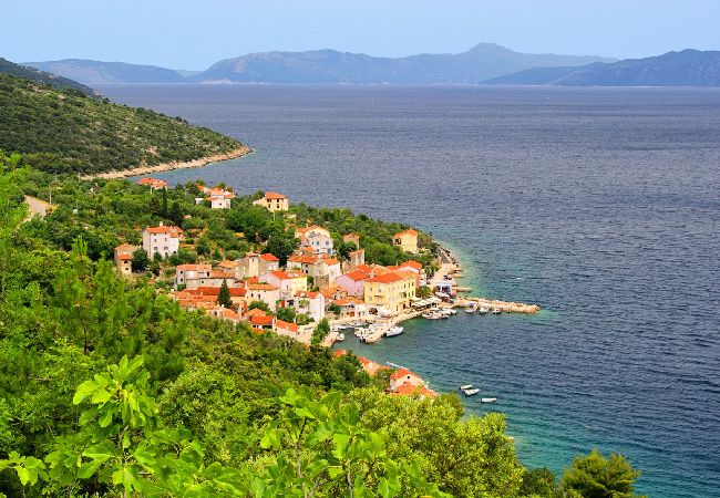 Dom w Stivan - Domek wypoczynkowy w Stivan z Widok na morze, taras, Klimatyzacja, WIFI (4239-1) Dom w Stivan - Domek wypoczynkowy w Stivan z Widok na morze, taras, Klimatyzacja, WIFI (4239-1)