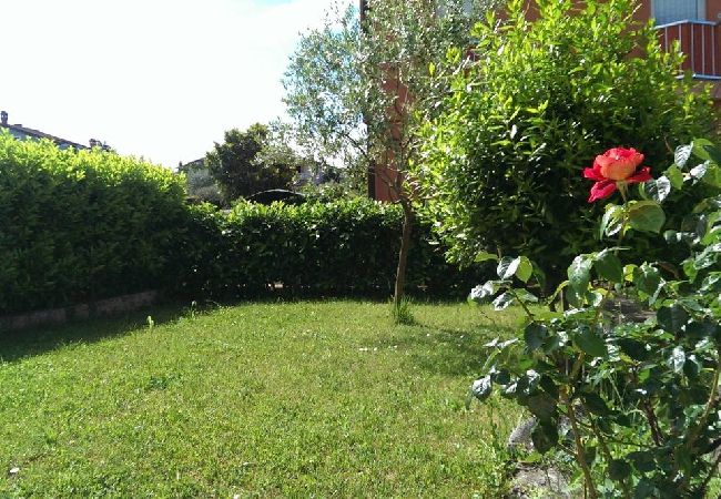 Apartament w Umag - Apartament w Umag z taras, Klimatyzacja, WIFI (4259-2) Apartament w Umag - Apartament w Umag z taras, Klimatyzacja, WIFI (4259-2)