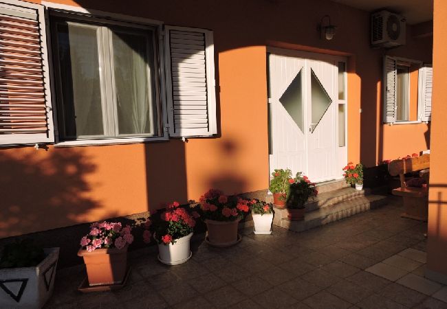 Apartament w Biograd na moru - Apartament w Biograd na Moru z taras, Klimatyzacja, WIFI, Zmywarka (4269-1) Apartament w Biograd na moru - Apartament w Biograd na Moru z taras, Klimatyzacja, WIFI, Zmywarka (4269-1)