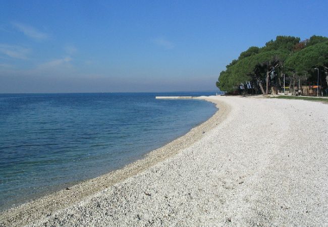 Apartament w Fažana - Apartament w Fažana z Widok na morze, balkon, Klimatyzacja, WIFI (4348-1) Apartament w Fažana - Apartament w Fažana z Widok na morze, balkon, Klimatyzacja, WIFI (4348-1)
