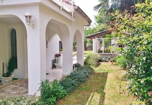 Studio w Mošcenicka Draga - Apartament Studio w Mošćenička Draga z Widok na morze, taras, Klimatyzacja, WIFI (4364-1) Studio w Mošcenicka Draga - Apartament Studio w Mošćenička Draga z Widok na morze, taras, Klimatyzacja, WIFI (4364-1)