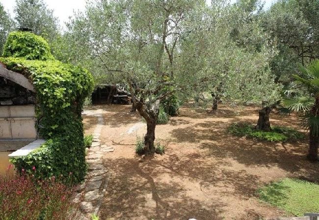 Apartament w Vodice - Apartament w Vodice z taras, Klimatyzacja, WIFI, (4382-1) Apartament w Vodice - Apartament w Vodice z taras, Klimatyzacja, WIFI, (4382-1)